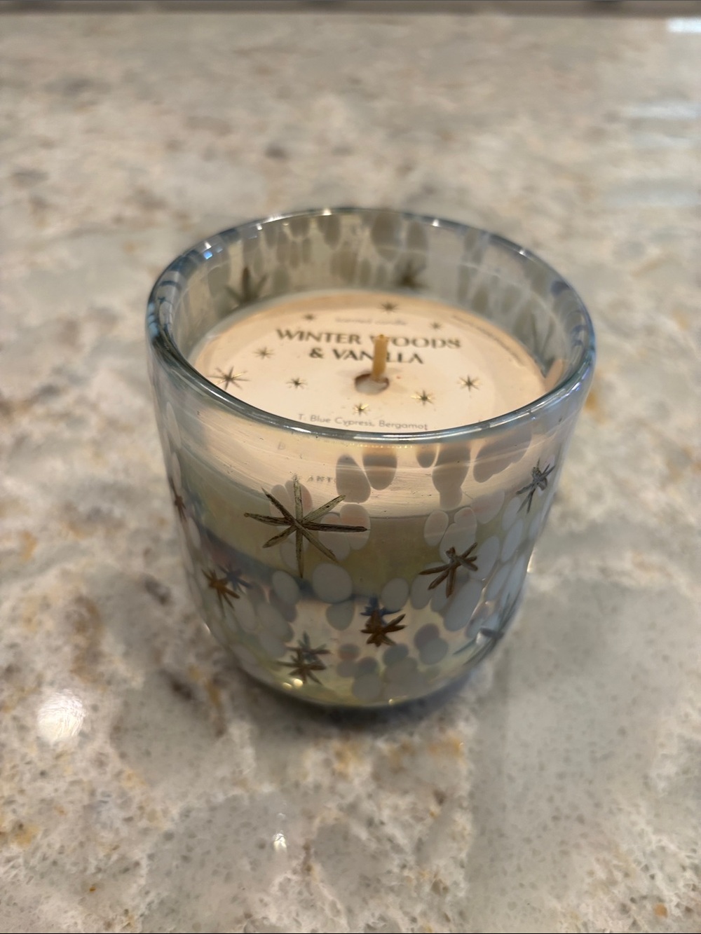 Anthropologie Winter Woods & Vanilla 8oz Candle